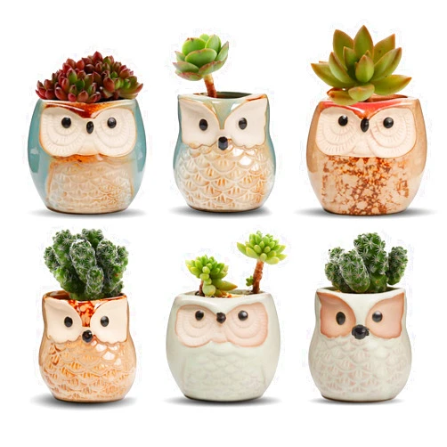T4U 2.5 Inch Owl Ceramic Succulent Planter Pots with Drainage Hole Set of 6, Small Cute Flower Pots Plant Holder Container Best for Home Office Garden Decoration Owl Gift Ideas