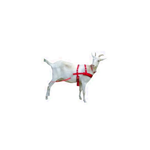 Handmade Goat Pulling Harness With Tugs Padded Pull Wagons, Carts, Sleds, Brush (Pygmy, Orange)