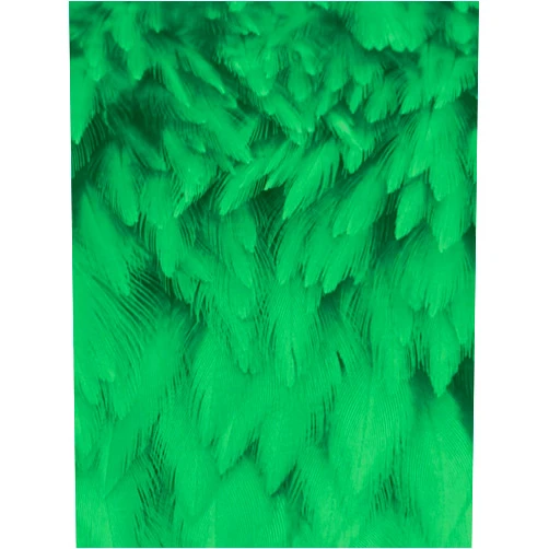 Sara M Schaller AngelWise | Green Feather Noteboo