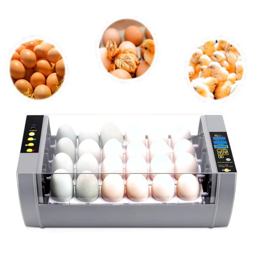 Gpeng Egg Incubator, 24 Eggs Incubator with Digital Display, Auto Egg-Turning, Auto Temperature Control, for Hatching Chicken Goose Pigeon Quail Duck