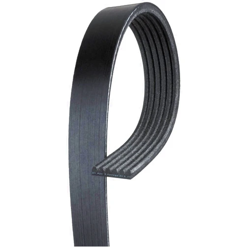 Continental OE Technology Series 4040560 4-Rib, 56.0