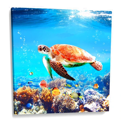 Woxfcart Bathroom Turtle Picture Wall Art Ocean Undersea Aquatic Animal Nature Photo Print on Canvas for Kids Room Blue Wall Decor 12x12