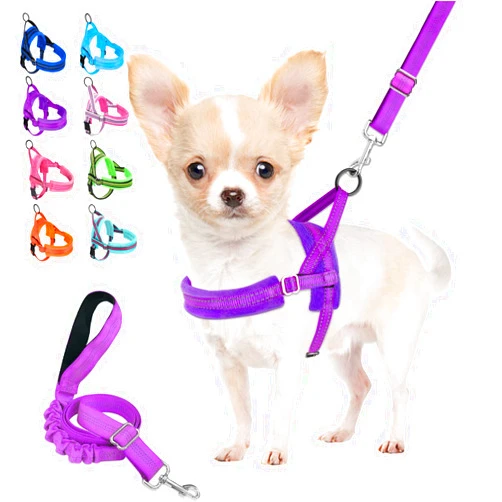 Lukovee Dog Harness and Leash Set, Soft Padded Small Dog Harness, Neck & Chest Adjustable Reflective Vest Puppy Harness with 4ft Lightweight Anti-Twist Dog Leash for Small Dogs (XX-Small, Purple)