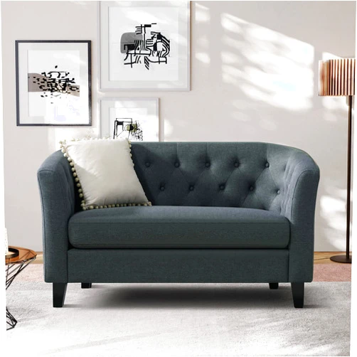 Husbedom 50 Inches Loveseat, Small Couch for Small Spaces, Mini Sofa with Button Tufted Décor for Bedroom, Love Seats Furniture, Living Room, Bedroom, Apartment, Dorm, Dark Gray