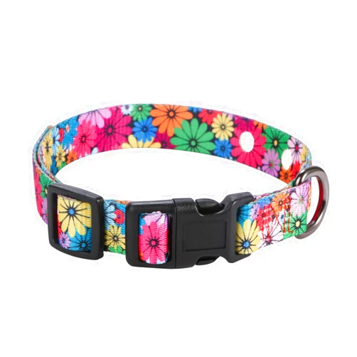Rhea Rose 3/4 Inch Replacement Collar Strap Shock Collar with 2 Holes, Compatible with Nearly All Brands and Models of Underground Electric Dog Fences and Training Collars, Floral Pattern