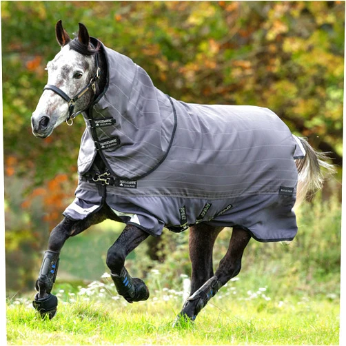 Horseware Amigo Bravo 12 Reflectech Plus Turnout Blanket (100g Medium-Lite, 0g Hood), Size: 75, Color: Reflective Black (Grey Trim)