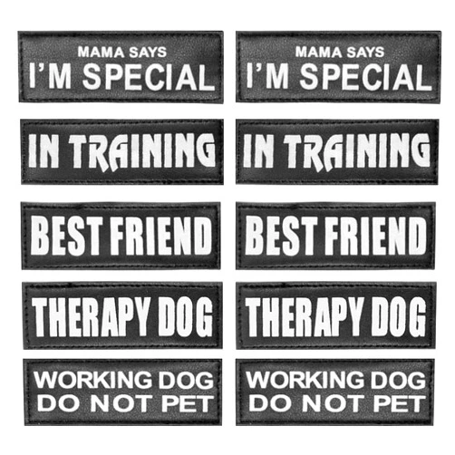 AUROTH Service Dog Vest Patches - 10 Pieces, Reflective and Removable Harness Patches for Training