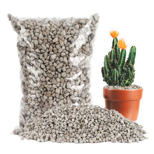 Sukh Horticultural Pumice Stone - Pumice Stone for Plants Succulent Cactus Bonsai Orchid Soil Amendment 410g