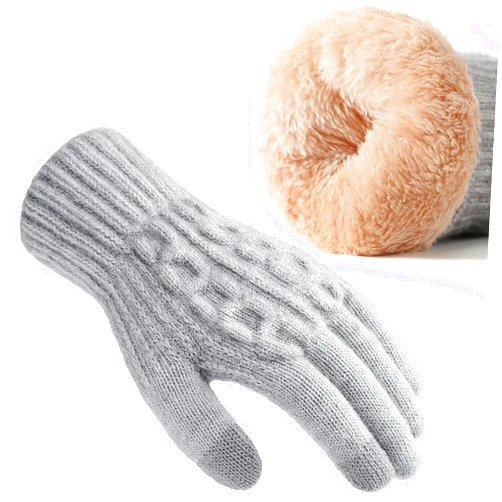 Pleneal Womens Winter Gloves - Gloves for Women Cold Weather, Womens Warm Fleece Lined Touch Screen Dual-Layer Glove