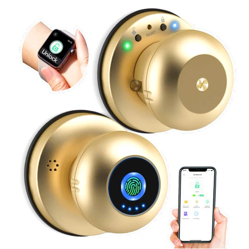 Anweller Smart Door Knob with Lock, Anweller Fingerprint Biometric Keyless Entry Electronic Digital Bluetooth App Control WiFi Door Lock for Bedroom Interior Apartment Garage Front Door - Gold