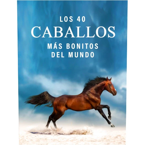 Libros de Trébol Azul Los 40 Caballos más Bonitos del Mundo: Un Libro de Fotografías a todo Color para Personas Mayores con Alzheimer o Demencia (La serie de libros ilustrados 