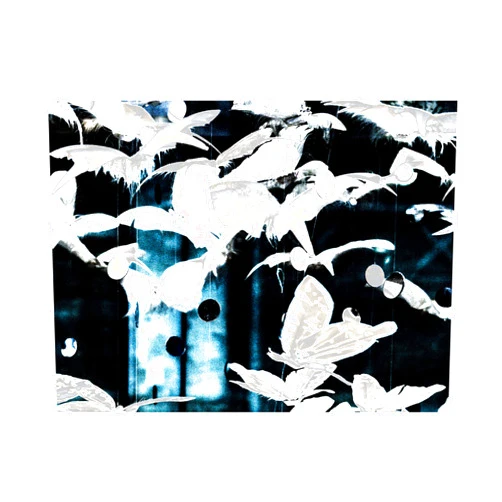 Trademark Fine Art 'Butterfly Paradise III' Canvas Art by Blue Palomino