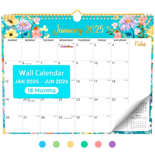 Taja 2025 Wall Calendar, Monthly Wall Calendar from January 2025 to June 2026, 11.5