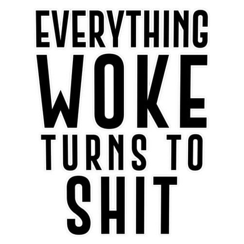 American Magnet Magnet Everything Woke Turns to Shit Funny Trump Quote Magnet Vinyl Magnetic Sticker Size 5