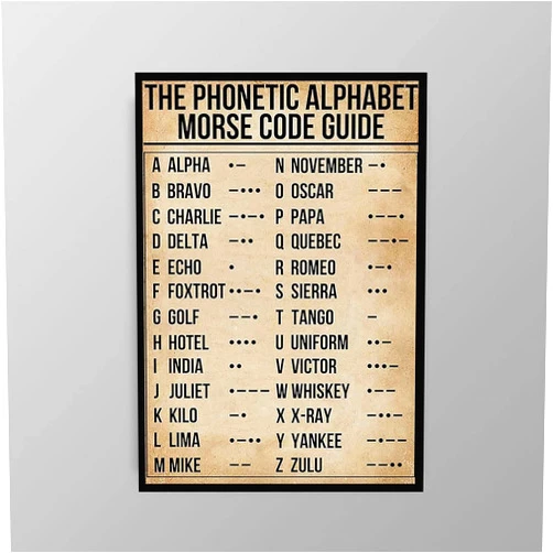 TOMIJA FUNNY QUOTES WALL ART,rustic bathroom decor,home decor bedroom,Phonetic Alphabet Morse Code Pilot poster,8inchx12inchinch Framed white3 8x12 inch,(20X30CM)Framed