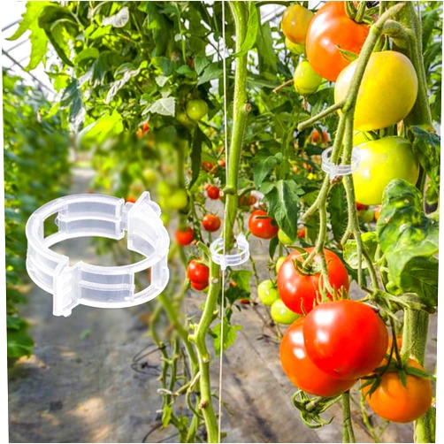 Brinman Plant Support Clips,250 pcs Plant Clips for Climbing Plants,Tomato Clips,Garden Clips to Grow upward for Plant Vine Vegetables Healthier,Plastic Trellis Support Clips for Grape,Cucumber,Reusable