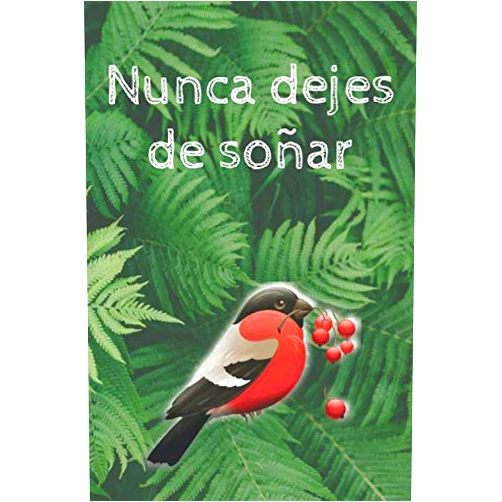 Gosal Press Nunca dejes de soñar: Planificador semanal (Spanish Edition)