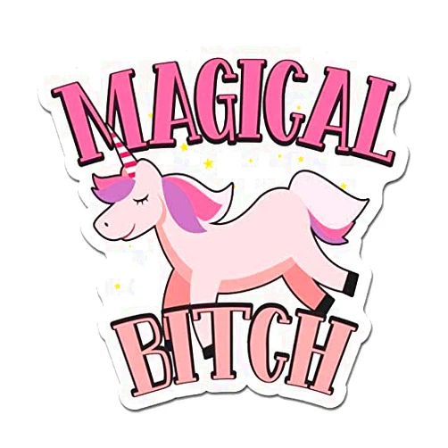 MIGHTY SKINS MightySkins Magical Bitch Peel and Stick Art Removable Cute Stylish Funny Cartoon Dorm Room Decor Vinyl Wall Decals Sticker, 12