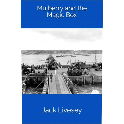Jack Livesey Mulberry and the Magic Box