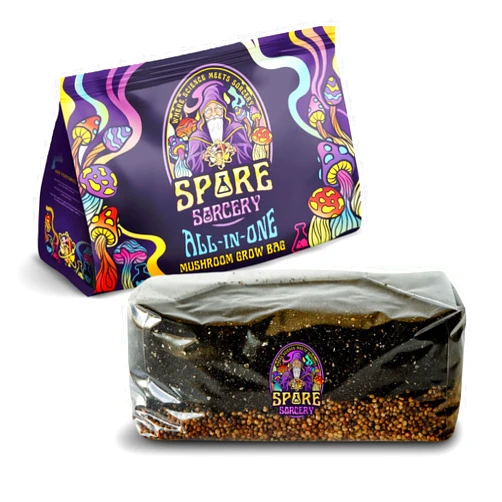 SPORE SORCERY Jumbo All-in-One Mushroom Grow Bag | 6 lb Mushroom Grow Kit | Grows Like Magic | Spores Not Included | Grow Mushrooms at Home | Mushroom Grow Kit | Sterilized Grain with Substrate