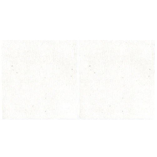Cennagi Fabrics Amy Butler 100% Cotton Muslin Natural Fabric by The Yard (Тwo Рack)