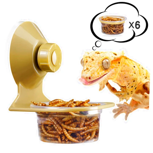 Fischuel Reptile Feeder Chameleon Lizard Feeding Cup with Suction Cup Gecko Transparent Fodder Container, Comes with 6 Packs Plastic Bowls