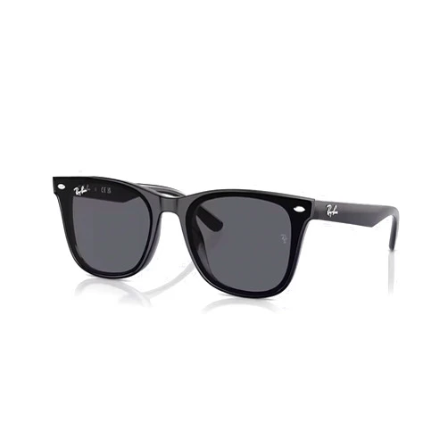 Ray-Ban RB4420 Square Sunglasses for Men for Women + BUNDLE With Designer iWear Complimentary Eyewear Kit