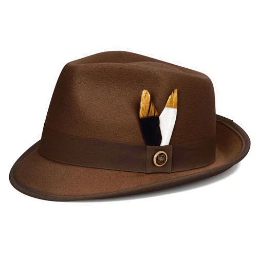 FADACHY Fedora Hats for Men & Women Short Brim Felt hat Trilby Fedora with Feather Panama Dress Hat