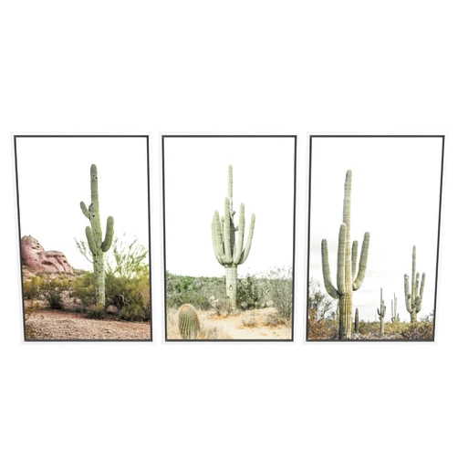 MUDECOR Framed Canvas Print Wall Art Desert Landscape, Southwest Cactus Desert Landscape, Cactus Print, Botanical Flower, Nature Wilderness for Bedroom - 16