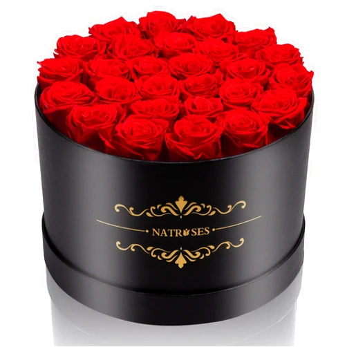 NATROSES 27 Piece Forever Preserved Roses in a Box, Preserved Flowers for Delivery Birthday, Flowers Gifts for Mothers Day, Red