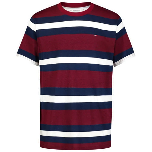 Tommy Hilfiger Boys' Short Sleeve Fashion Crew Neck T-Shirt
