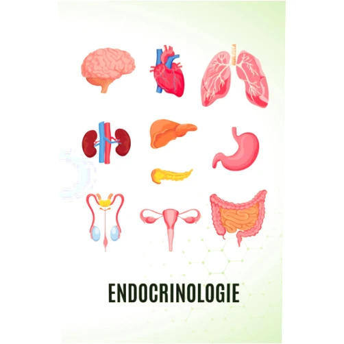 Searlas Lemaître Endocrinologie Notebook: Cahier de 120 pages (French Edition)
