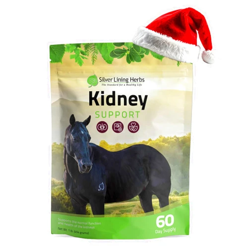 Silver Lining Herbs Kidney Support Supplement for Horses - Horse Supplements for Kidney Health and Bladder Support - Complete with Chamomile, Garlic, Juniper Berry, and More - 1 lb 60-Day Supply
