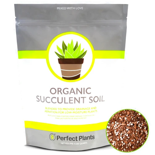 PERFECT PLANTS All Natural Succulent and Cactus Soil Mix by Perfect Plants | Made in The USA | 4 Quarts for All Succulent Varieties | Formulated for Proper Drainage