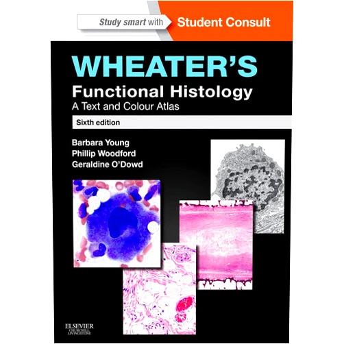 By Barbara Young BSc Med Sci (Hons) PhD MB BChir MRCP FRCPA (Author), Geraldine O'Dowd BSc (Hons) MBChB (Hons) FRCPath (Author), Phillip Woodford MB BS FRCPA (Author) & 2 more Wheater's Functional Histology: A Text and Colour Atlas