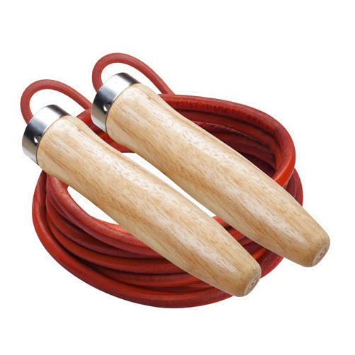 Champion Sports SR Series Classic Nylon Jump Rope with Wood Handles, 16-Feet (Single)