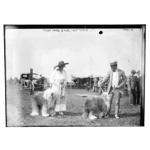 HistoricalFindings Photo: Tyler Morse,Wife,Islip,September 1915,Two Dogs,Pets,Animals,Automobile,Bain News