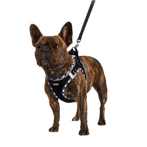 AMTOR Small Dog Harness with Leash Set, No Escape Easy Walk Puppy Harnesses for Training Walking, Step-in Reflective Soft Dogs Vest for XS S Medium Extra-Small Large Sized Dog(BlackWhite,S)