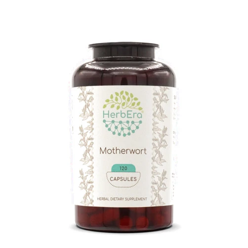 HerbEra Motherwort 120 Capsules, 400 mg, Motherwort (Leonurus Cardiaca) Dried Herb (120 Capsules)