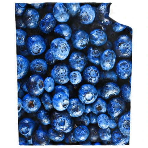 BUYYET Blueberry Fleece Flannel Gift Blanket Realistic Interesting Food Blanket Lightweight Soft Throw Blanket Cute Cozy Blanket for Bed Couch Travel Outdoor 30''x 40'' for Baby/Pets