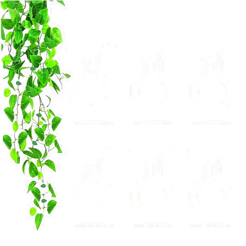 ZIBo Plant Climbing Wall Fixture Clips,100Pcs Plant Fixer Self-Adhesive Hook,Garden Vegetable Plant Support Binding Clip Invisible Wall Vines,Fixture Wall Sticky Hook Fixing Clip Vines Holder (B-100 Pcs)