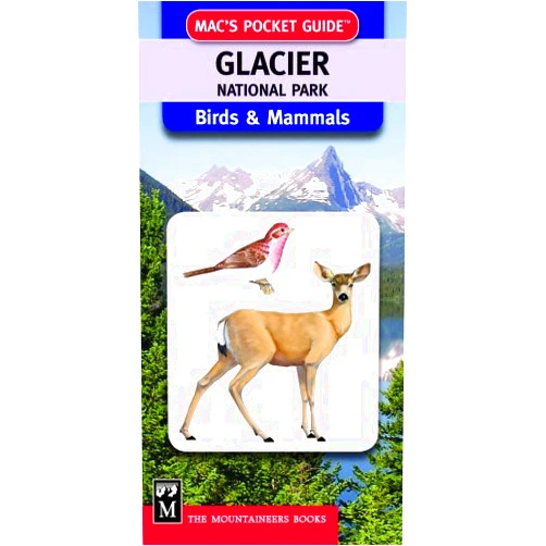 Stephen Whitney,Elizabeth Briars Mac's Pocket Guide: Glacier National Park, Birds & Mammals