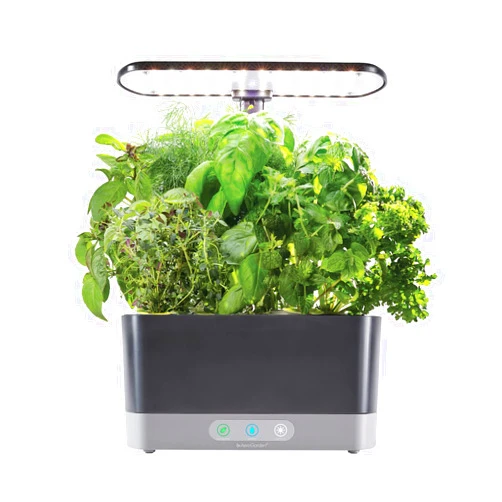 AeroGarden Harvest XL with Gourmet Herbs Seed Pod Kit - Indoor Garden with LED Grow Light, Black