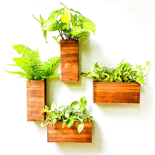 LáLáGreen LaLaGreen Wood Planter Box for Plants (4 Pack) Wooden Hanging Wall Planters for Indoor Plant Holder Vase for Dried Flowers, Modern Living Room Bedroom Kitchen Home Office Decor