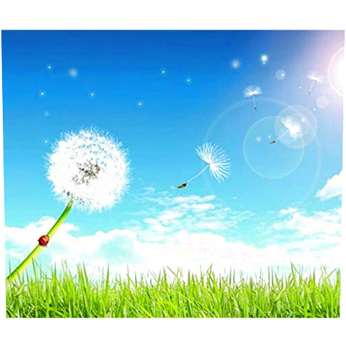 Daiseta Artificial and Dried Flower 100pcs Mini Dried Dandelion Flower for Epoxy Resin Pendant Necklace Jewelry Filler Making Craft Accessories