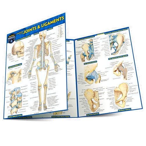 Vincent Perez Anatomy of Joints & Ligaments: a QuickStudy Laminated Reference Guide