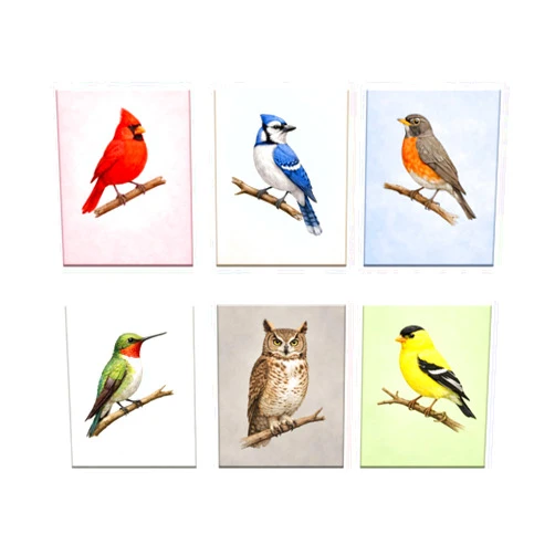 Cawpom Bird Wall Art Prints Set of 6, Living Room Decor for Bird Lovers, Birds Portrait Wall Decor Canvas Print Nature Animals Artwork Poster Painting Picture Frame Home Decoration(8x10 inch)