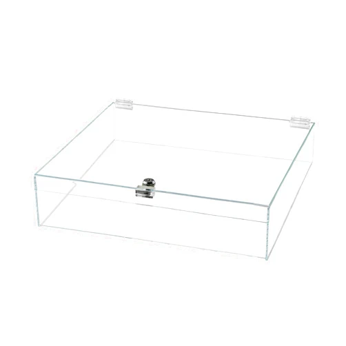 Marketing Holders Acrylic Locking Display Case with Keys 18