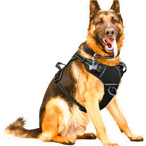 WINSEE Dog/Pet Harnesses No Pull with Dog Collar, Adjustable Reflective Oxford Outdoor Vest, Front/Back Leash Clips for Small, Medium, Large, Extra Large Dogs, Easy Control Handle for Walking