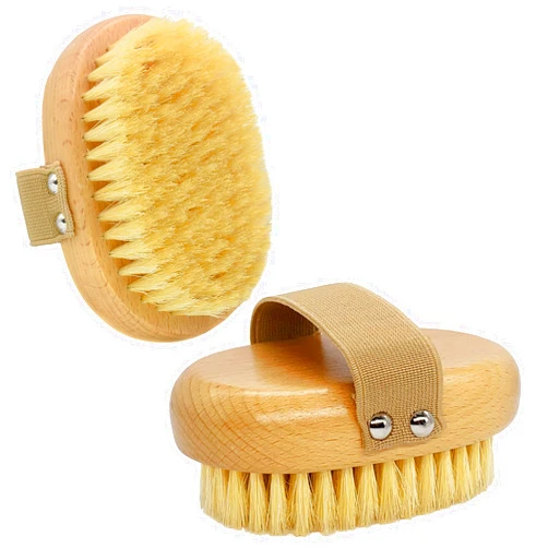 Casidoxi Soft Bristle Pet Brush - Natural Bristle Palm Brush for Short Haired Cats and Dogs with Elastic Band